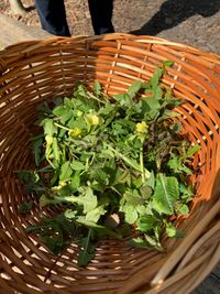 PHOTO-2023-01-24-11-15-36